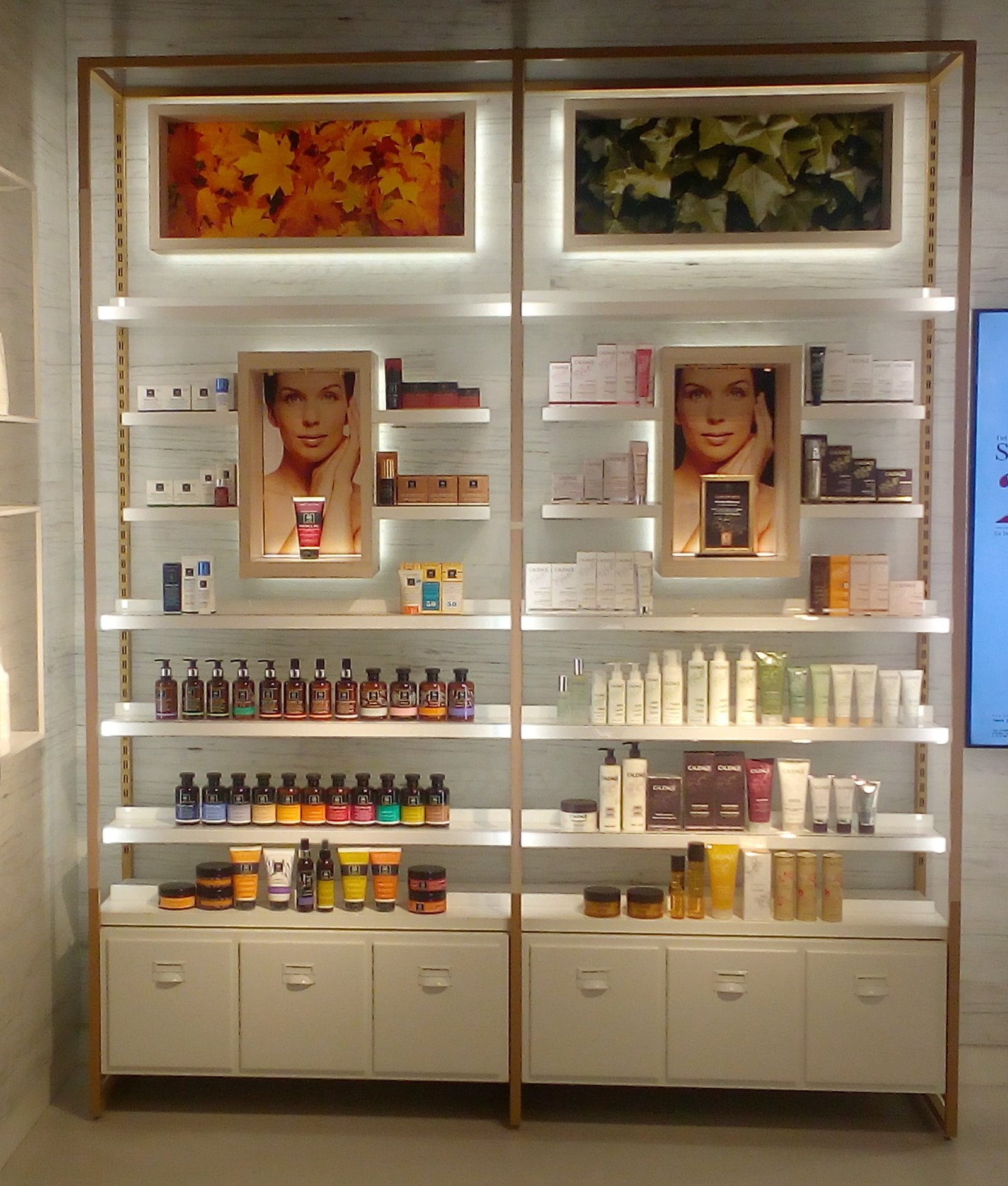 PROTOTIPO MULTIMARCA COSMETICA